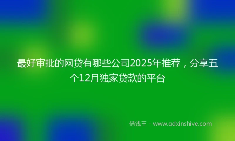 最好审批的网贷有哪些公司2025年推荐，分享五个12月独家贷款的平台