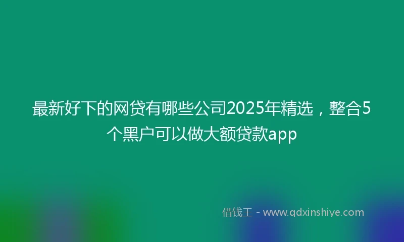 最新好下的网贷有哪些公司2025年精选，整合5个黑户可以做大额贷款app