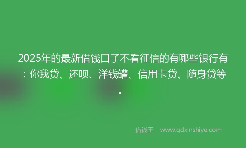 2025年的最新借钱口子不看征信的有哪些银行有：你我贷、还呗、洋钱罐、信用卡贷、随身贷等。