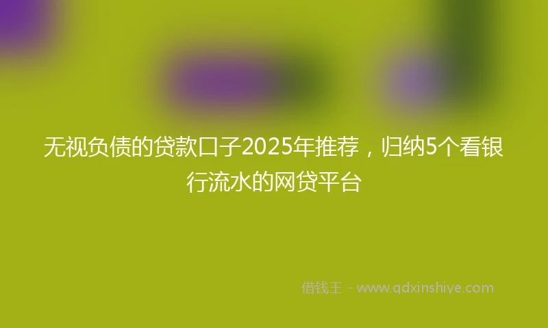 无视负债的贷款口子2025年推荐，归纳5个看银行流水的网贷平台