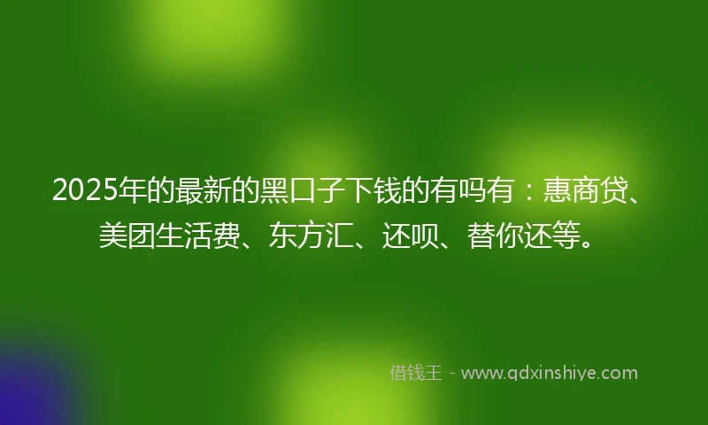 2025年的最新的黑口子下钱的有吗有：惠商贷、美团生活费、东方汇、还呗、替你还等。