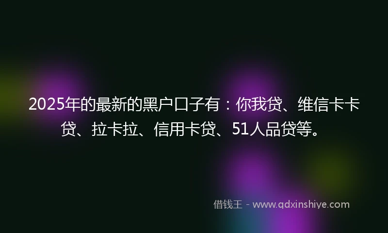 2025年的最新的黑户口子有：你我贷、维信卡卡贷、拉卡拉、信用卡贷、51人品贷等。