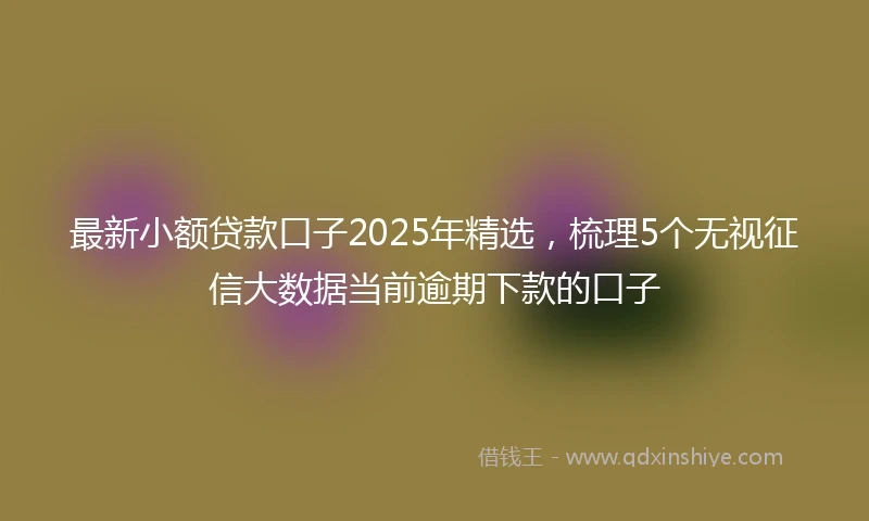 最新小额贷款口子2025年精选，梳理5个无视征信大数据当前逾期下款的口子