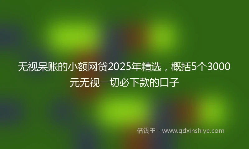 无视呆账的小额网贷2025年精选，概括5个3000元无视一切必下款的口子