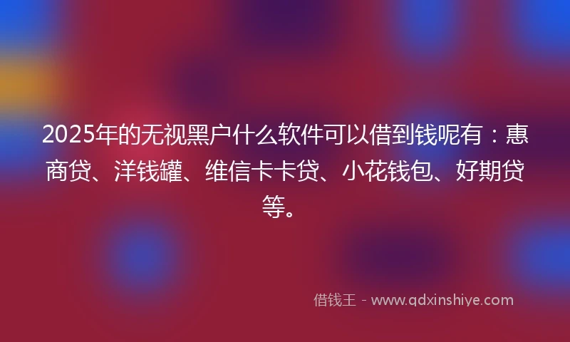 2025年的无视黑户什么软件可以借到钱呢有：惠商贷、洋钱罐、维信卡卡贷、小花钱包、好期贷等。