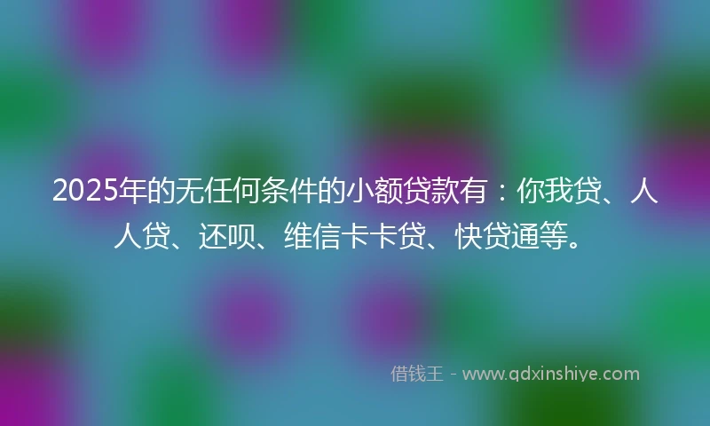 2025年的无任何条件的小额贷款有：你我贷、人人贷、还呗、维信卡卡贷、快贷通等。