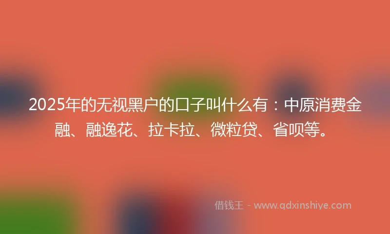 2025年的无视黑户的口子叫什么有：中原消费金融、融逸花、拉卡拉、微粒贷、省呗等。