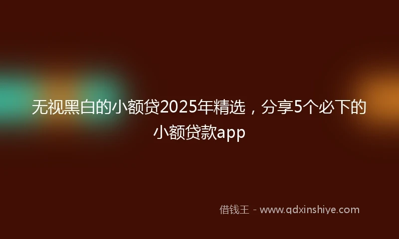 无视黑白的小额贷2025年精选，分享5个必下的小额贷款app