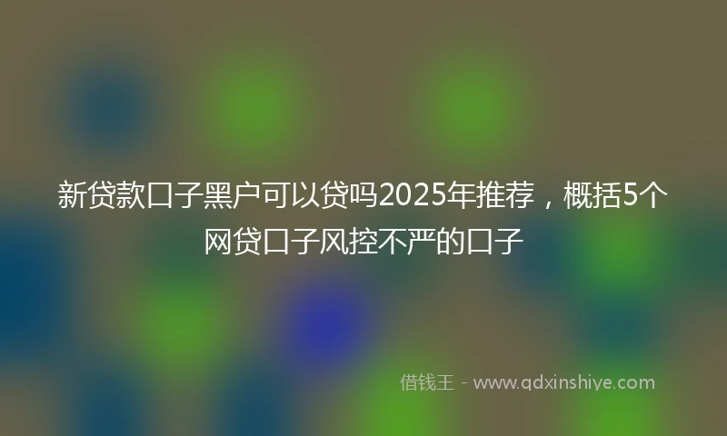 新贷款口子黑户可以贷吗2025年推荐，概括5个网贷口子风控不严的口子