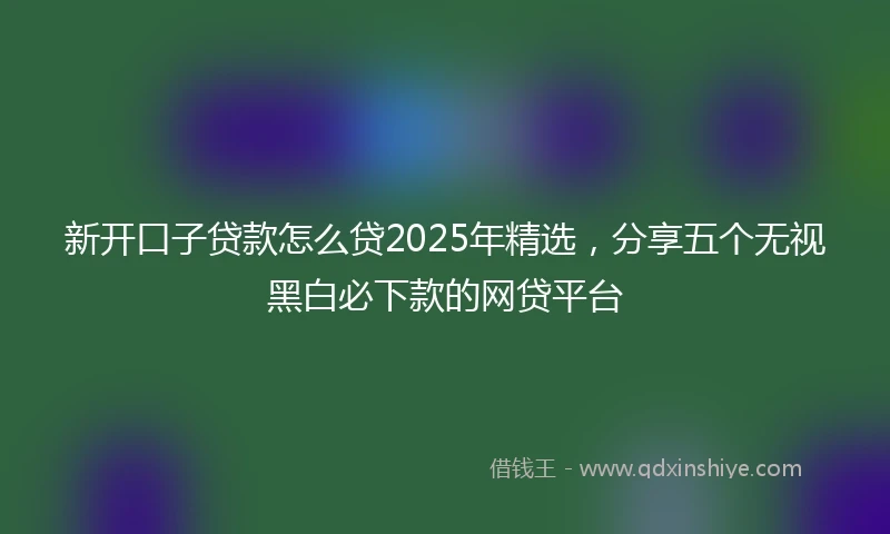 新开口子贷款怎么贷2025年精选，分享五个无视黑白必下款的网贷平台