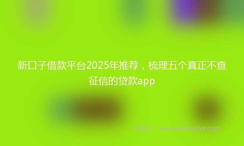 新口子借款平台2025年推荐，梳理五个真正不查征信的贷款app