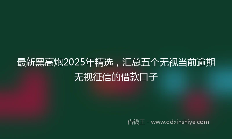 最新黑高炮2025年精选，汇总五个无视当前逾期无视征信的借款口子