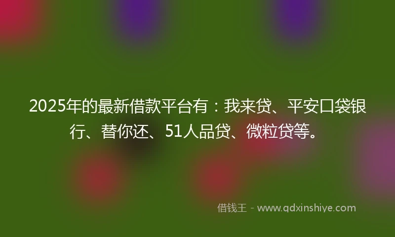 2025年的最新借款平台有:我来贷、平安口袋银行、替你还、51人品贷、微粒贷等。