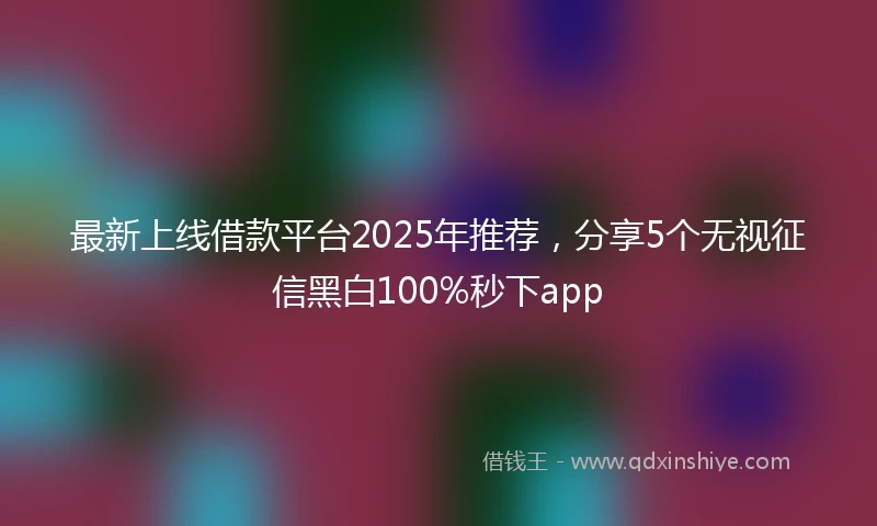 最新上线借款平台2025年推荐,分享5个无视征信黑白100%秒下app