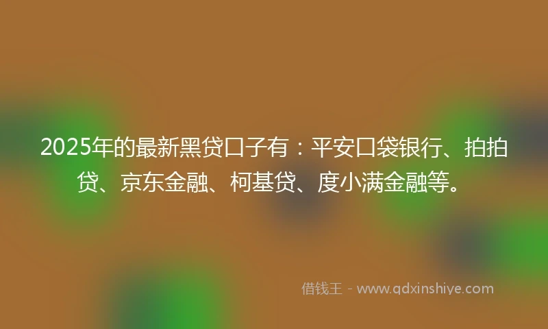 2025年的最新黑贷口子有：平安口袋银行、拍拍贷、京东金融、柯基贷、度小满金融等。