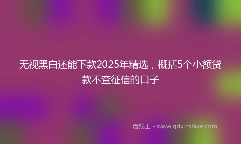 无视黑白还能下款2025年精选，概括5个小额贷款不查征信的口子