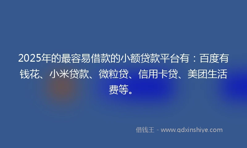 2025年的最容易借款的小额贷款平台有：百度有钱花、小米贷款、微粒贷、信用卡贷、美团生活费等。