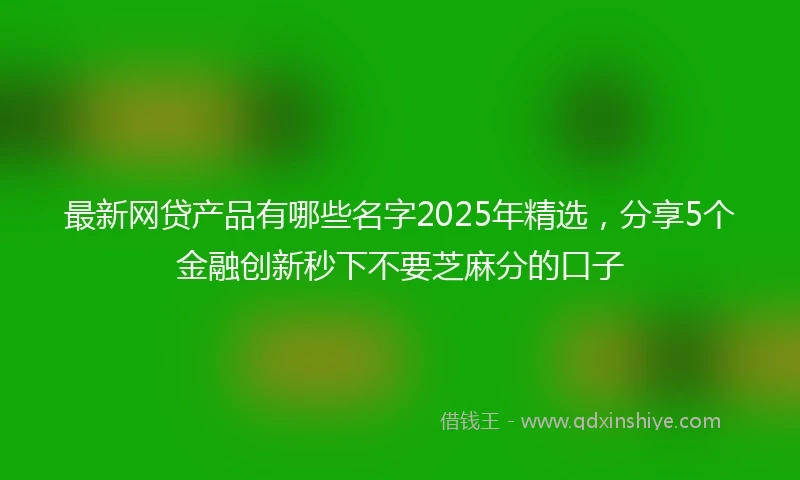 最新网贷产品有哪些名字2025年精选，分享5个金融创新秒下不要芝麻分的口子