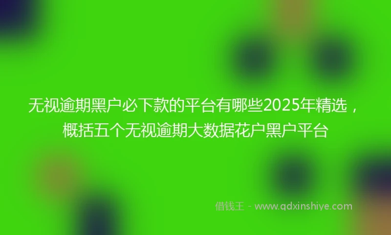 无视逾期黑户必下款的平台有哪些2025年精选，概括五个无视逾期大数据花户黑户平台