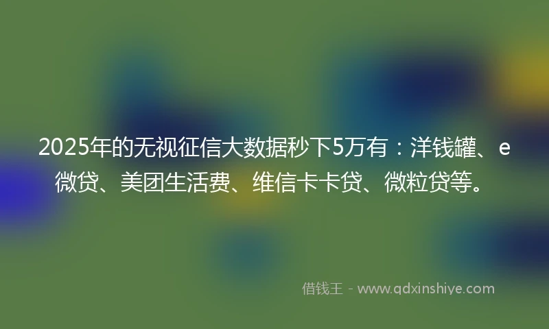 2025年的无视征信大数据秒下5万有：洋钱罐、e微贷、美团生活费、维信卡卡贷、微粒贷等。