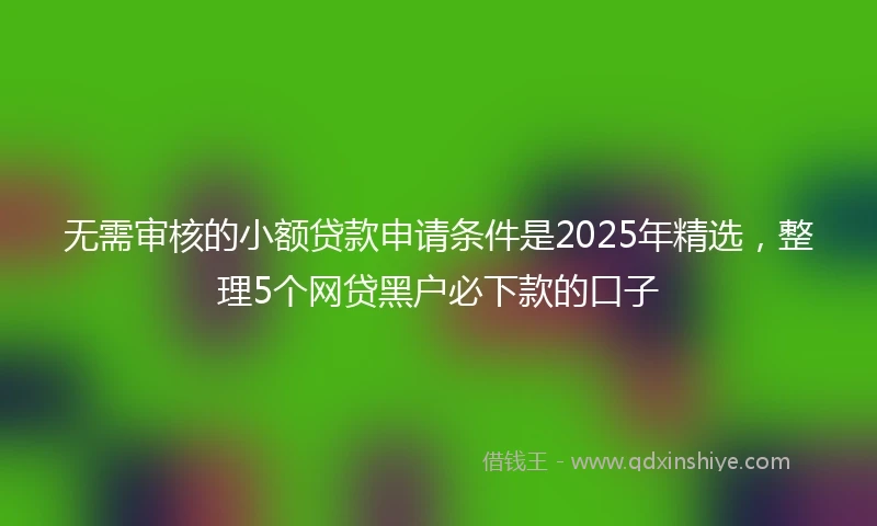 无需审核的小额贷款申请条件是2025年精选，整理5个网贷黑户必下款的口子