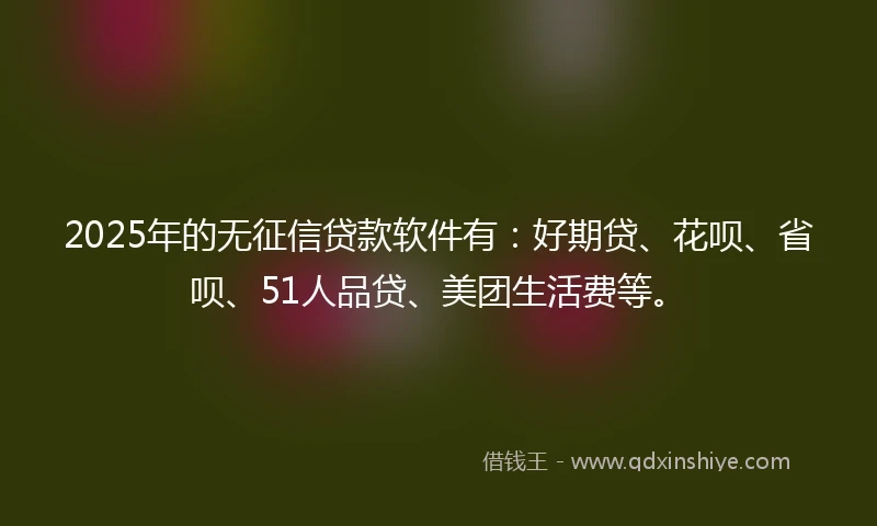 2025年的无征信贷款软件有：好期贷、花呗、省呗、51人品贷、美团生活费等。