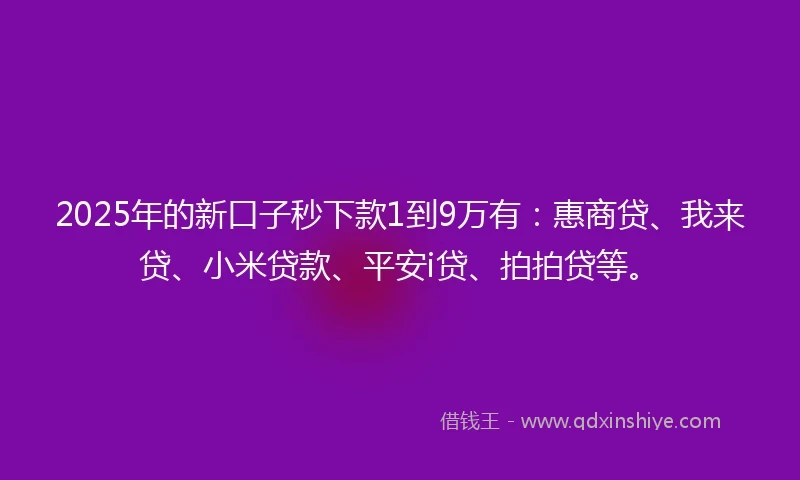 2025年的新口子秒下款1到9万有：惠商贷、我来贷、小米贷款、平安i贷、拍拍贷等。