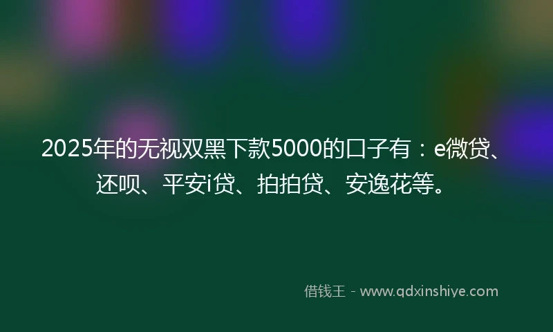 2025年的无视双黑下款5000的口子有：e微贷、还呗、平安i贷、拍拍贷、安逸花等。