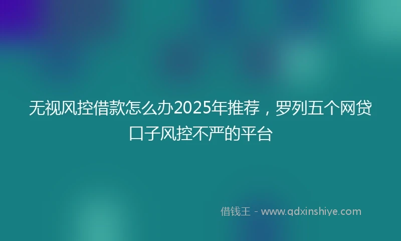 无视风控借款怎么办2025年推荐，罗列五个网贷口子风控不严的平台
