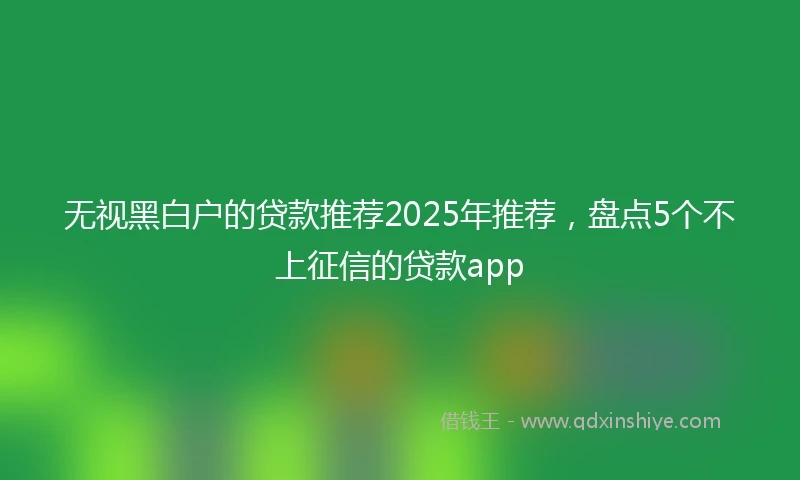 无视黑白户的贷款推荐2025年推荐,盘点5个不上征信的贷款app