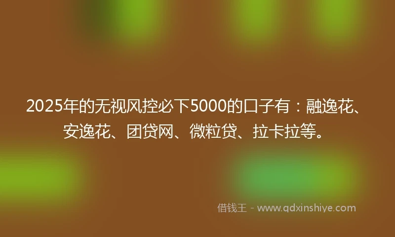 2025年的无视风控必下5000的口子有：融逸花、安逸花、团贷网、微粒贷、拉卡拉等。