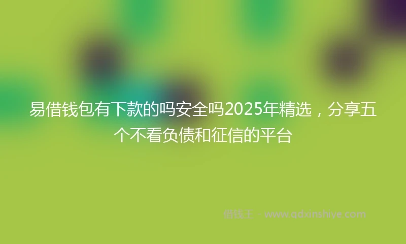 易借钱包有下款的吗安全吗2025年精选，分享五个不看负债和征信的平台