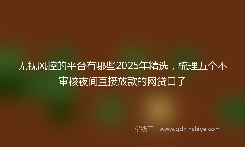 无视风控的平台有哪些2025年精选,梳理五个不审核夜间直接放款的网贷口子