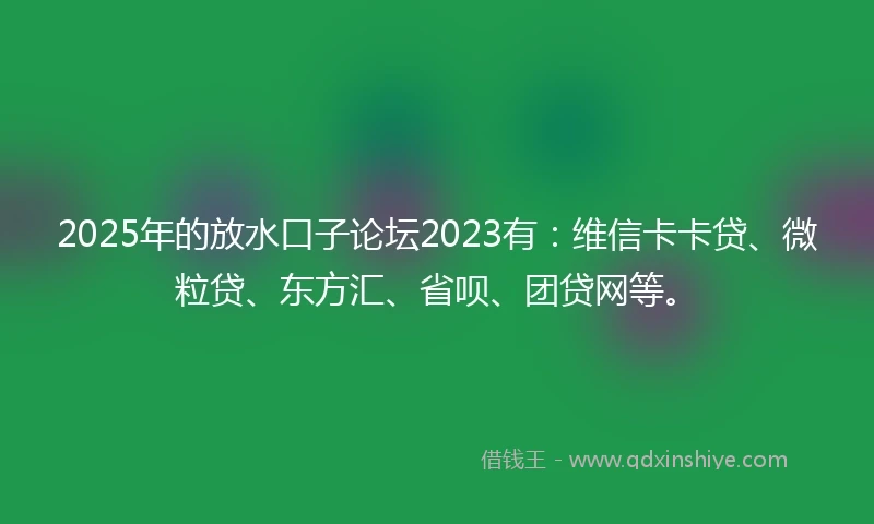 2025年的放水口子论坛2023有：维信卡卡贷、微粒贷、东方汇、省呗、团贷网等。