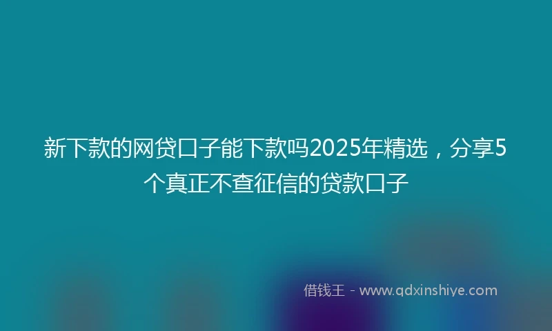 新下款的网贷口子能下款吗2025年精选，分享5个真正不查征信的贷款口子