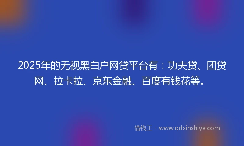 2025年的无视黑白户网贷平台有：功夫贷、团贷网、拉卡拉、京东金融、百度有钱花等。