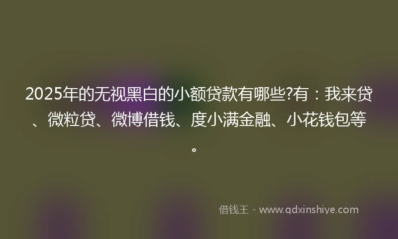 2025年的无视黑白的小额贷款有哪些?有：我来贷、微粒贷、微博借钱、度小满金融、小花钱包等。