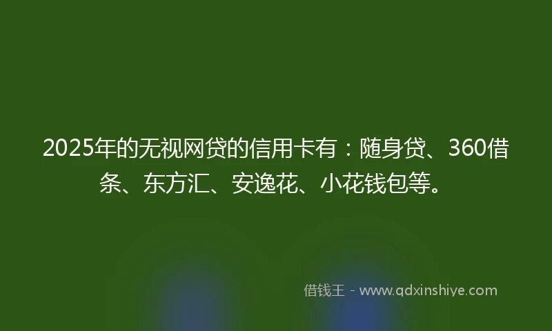 2025年的无视网贷的信用卡有：随身贷、360借条、东方汇、安逸花、小花钱包等。