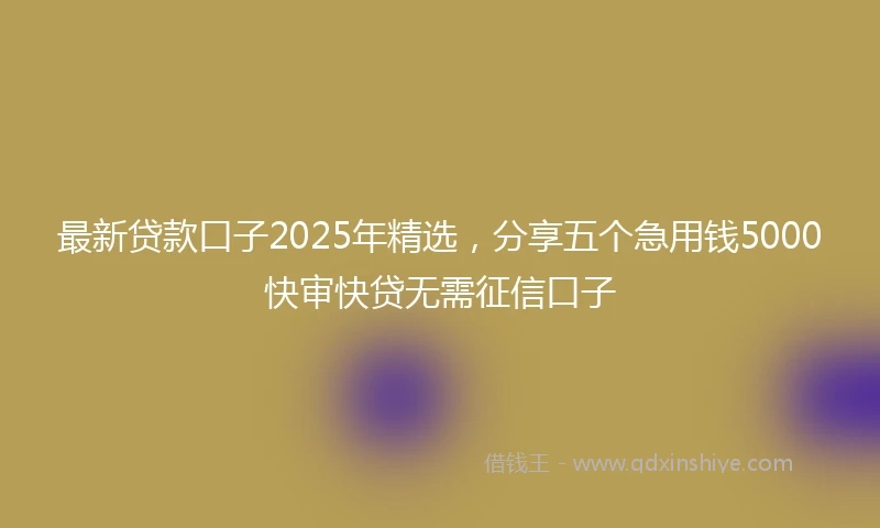 最新贷款口子2025年精选，分享五个急用钱5000快审快贷无需征信口子