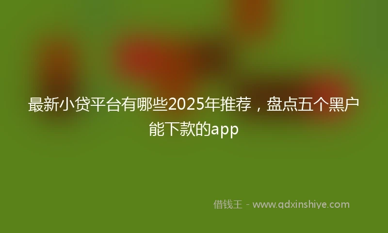 最新小贷平台有哪些2025年推荐，盘点五个黑户能下款的app