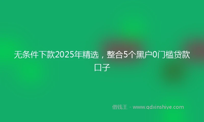 无条件下款2025年精选,整合5个黑户0门槛贷款口子