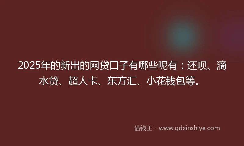 2025年的新出的网贷口子有哪些呢有:还呗、滴水贷、超人卡、东方汇、小花钱包等。