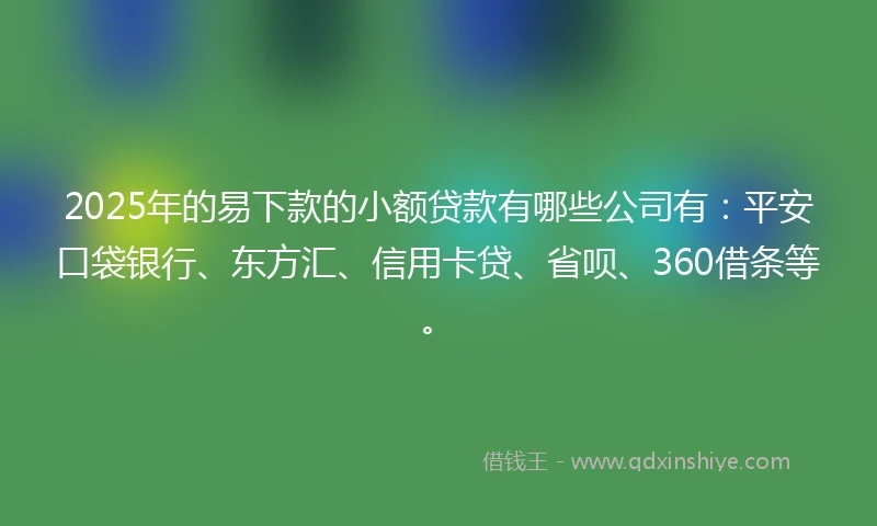 2025年的易下款的小额贷款有哪些公司有：平安口袋银行、东方汇、信用卡贷、省呗、360借条等。