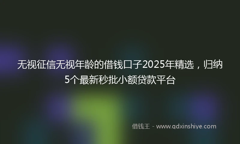 无视征信无视年龄的借钱口子2025年精选，归纳5个最新秒批小额贷款平台