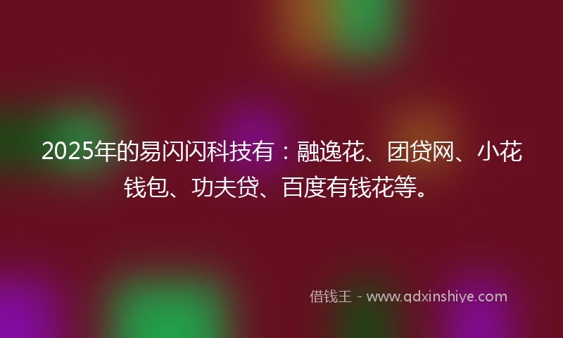 2025年的易闪闪科技有：融逸花、团贷网、小花钱包、功夫贷、百度有钱花等。