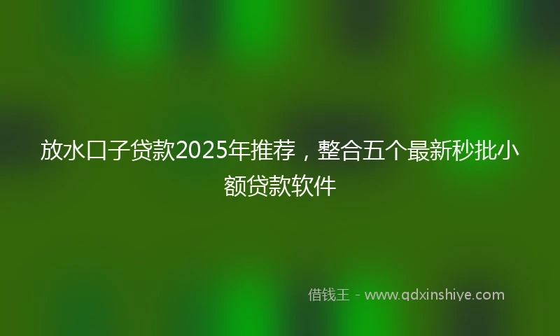 放水口子贷款2025年推荐，整合五个最新秒批小额贷款软件