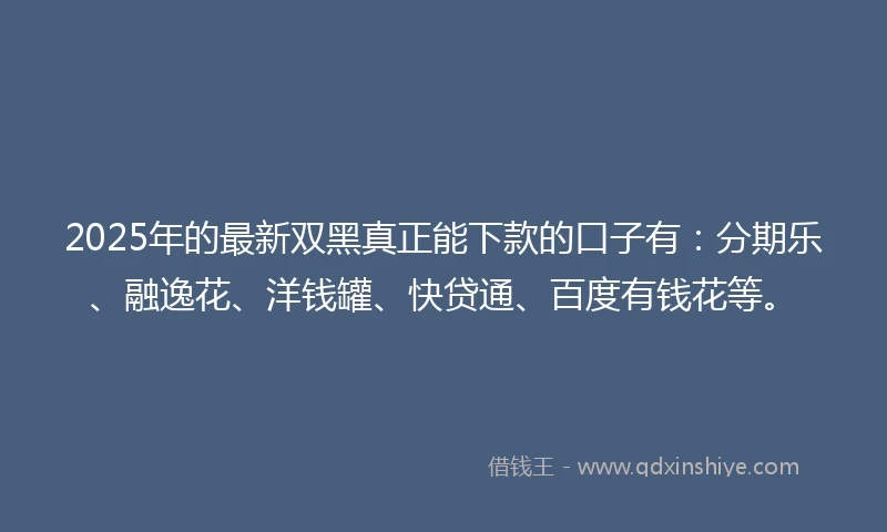 2025年的最新双黑真正能下款的口子有：分期乐、融逸花、洋钱罐、快贷通、百度有钱花等。