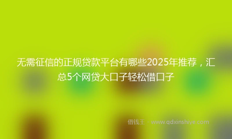 无需征信的正规贷款平台有哪些2025年推荐,汇总5个网贷大口子轻松借口子