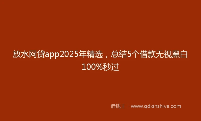 放水网贷app2025年精选，总结5个借款无视黑白100%秒过