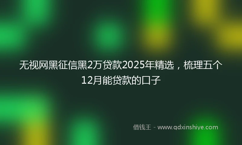 无视网黑征信黑2万贷款2025年精选，梳理五个12月能贷款的口子